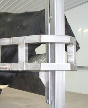 dairy cow and triangular-shaped brisket bar