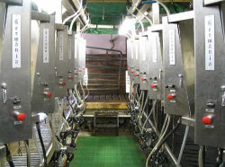 Retrofit of dairy parlor at Kracht Dairy